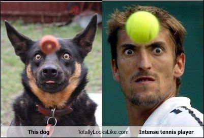 tennis eye