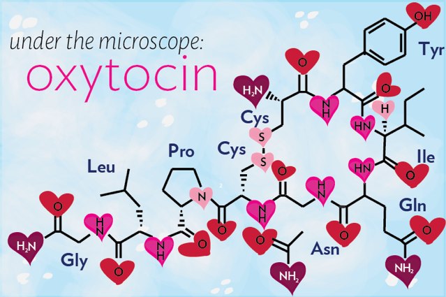 the chemistry of love